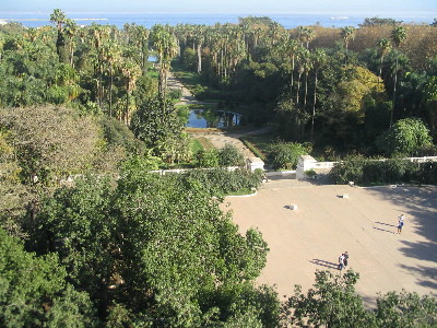 alg-04.jpg