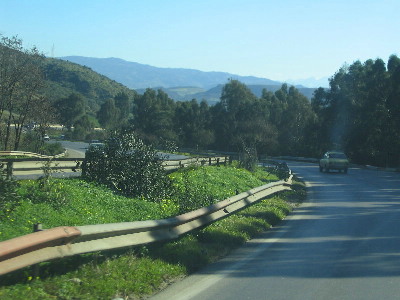 alg-05.jpg
