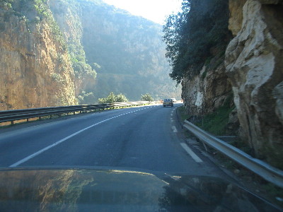 alg-06.jpg