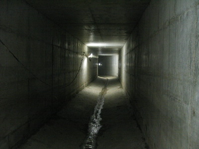fus-06.jpg